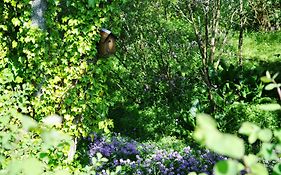 Craigmhor Lodge & Courtyard